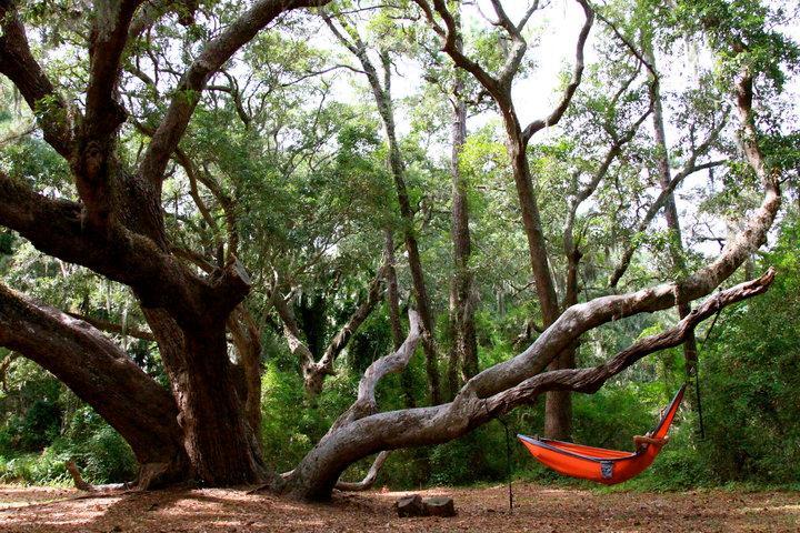 Ocean Walk Resort 1Br Mgr American Dream St. Simons Island Εξωτερικό φωτογραφία